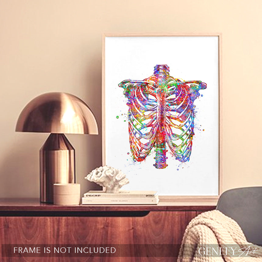 Rib Cage Anatomy Art Print