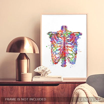 Rib Cage Anatomy Art Print