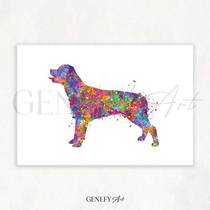 Rottweiler Watercolour Print - Genefy Art