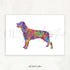 Rottweiler Watercolour Print - Genefy Art