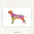 Rottweiler Watercolour Print - Genefy Art