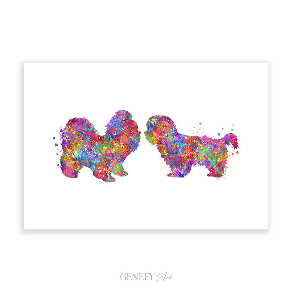 Shih Tzu Couple Watercolour Art Print