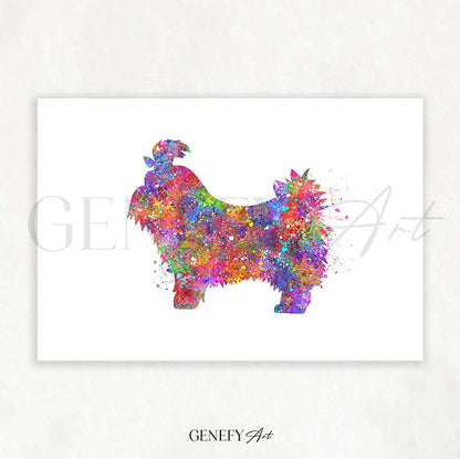 Shih Tzu Watercolour Print - Genefy Art