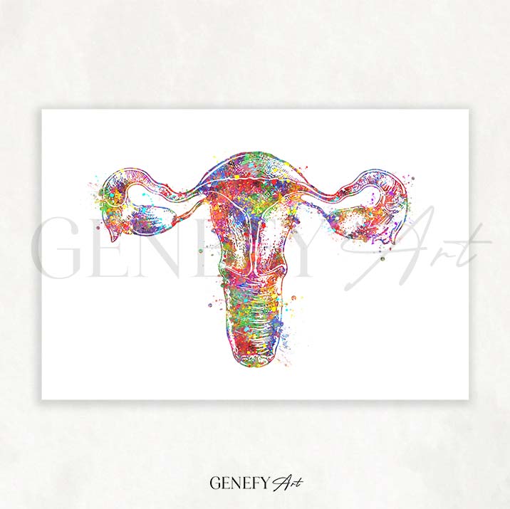 Uterus Anatomy Watercolour Art Print