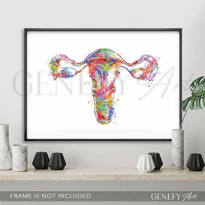 Uterus Anatomy Watercolour Art Print