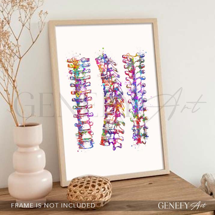 Vertebral Column Art