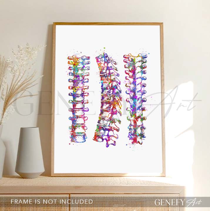 Vertebral Column Art