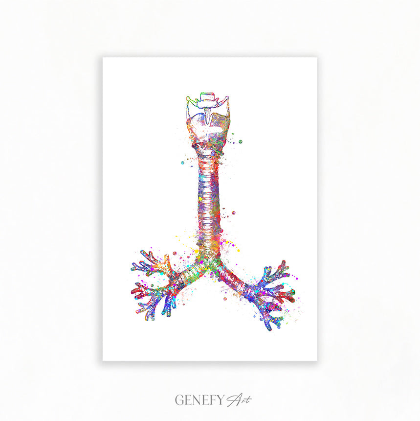 Human Windpipe Respiratory System Art Print
