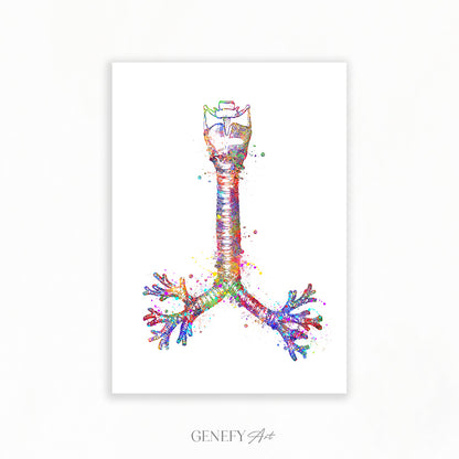 Human Windpipe Respiratory System Art Print