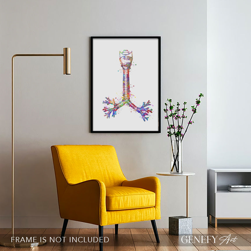 Human Windpipe Respiratory System Art Print