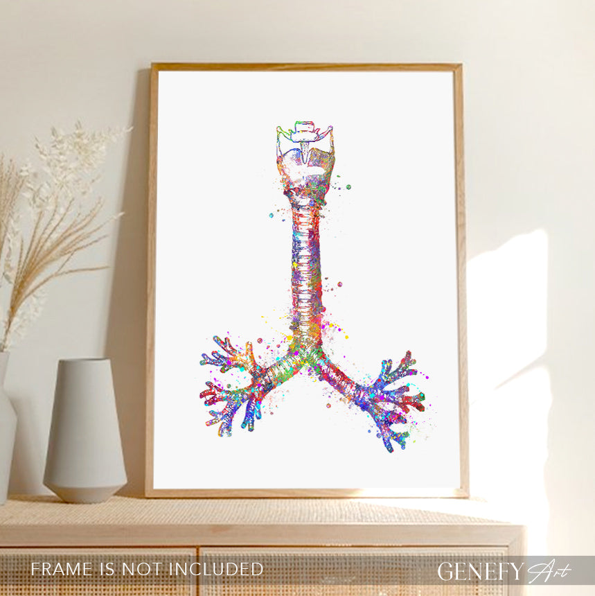 Human Windpipe Respiratory System Art Print