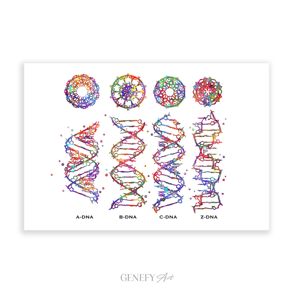 DNA Watercolour Art Print