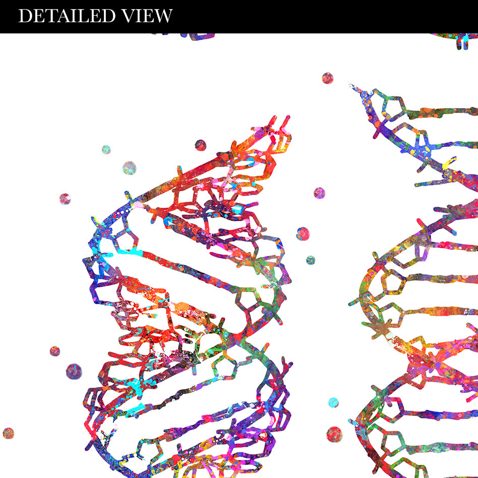 DNA Watercolour Art Print