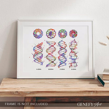 DNA Watercolour Art Print