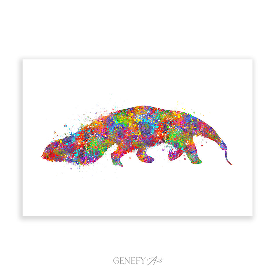 Anteater Watercolour Print