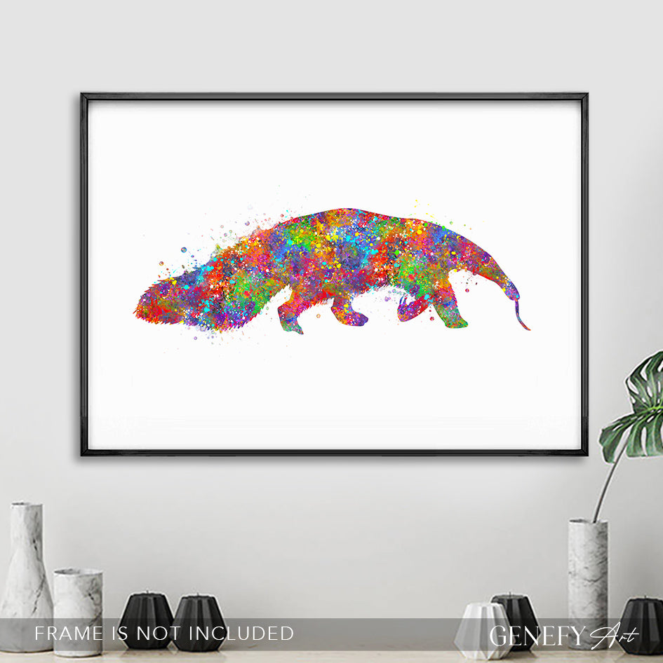 Anteater Watercolour Print