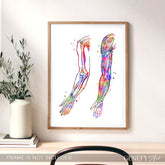 Arm Bones and Muscles Anatomy Watercolour Print
