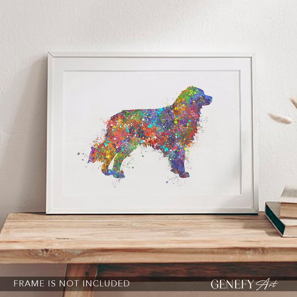 Australian Shepherd Watercolour Print - Genefy Art