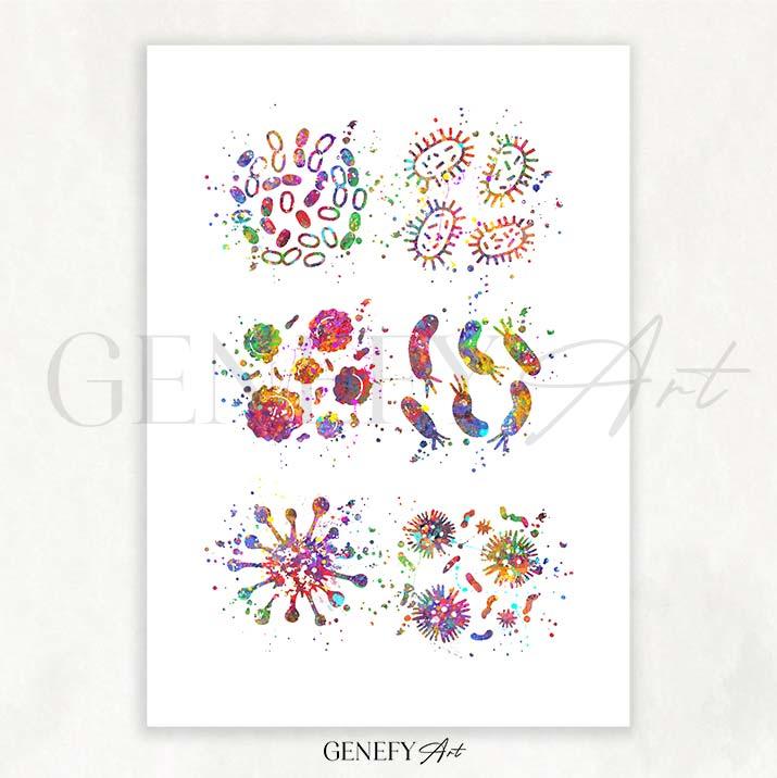 Bacteria Watercolour Print - Genefy Art