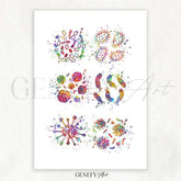 Bacteria Watercolour Print - Genefy Art