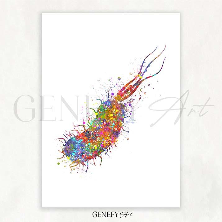 Bacterium Watercolour Print - Genefy Art
