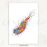 Bacterium Watercolour Print - Genefy Art