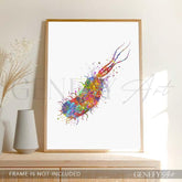 Bacterium Watercolour Print - Genefy Art