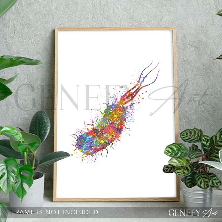Bacterium Watercolour Print - Genefy Art