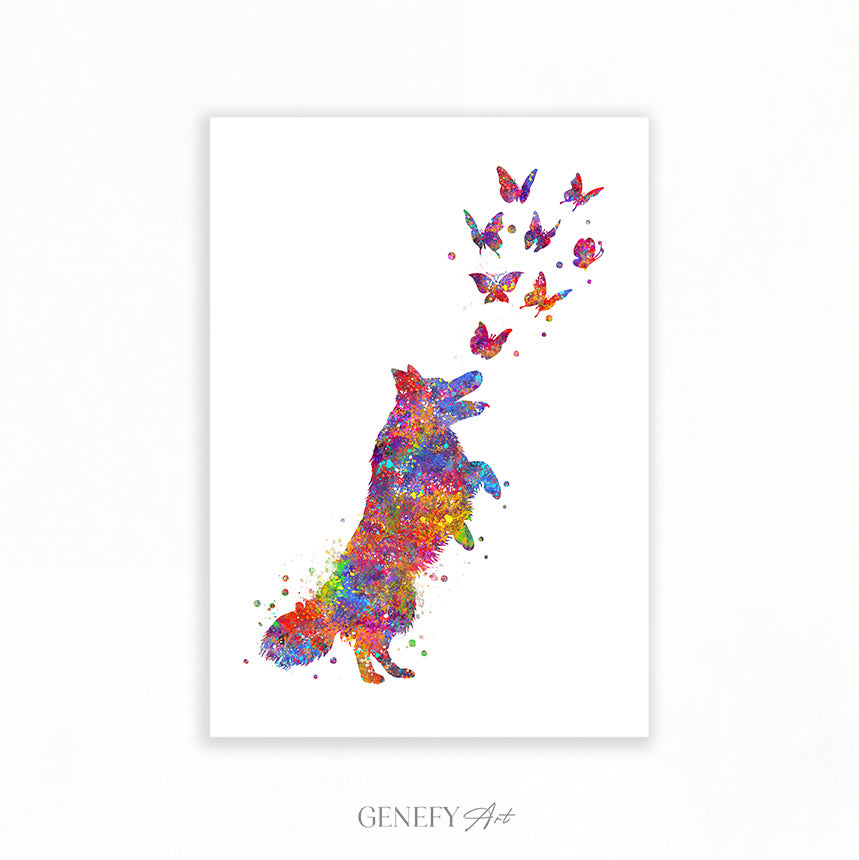 Border collie and butterflies