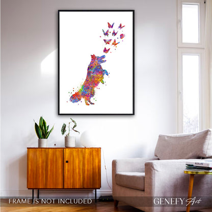 Border collie and butterflies