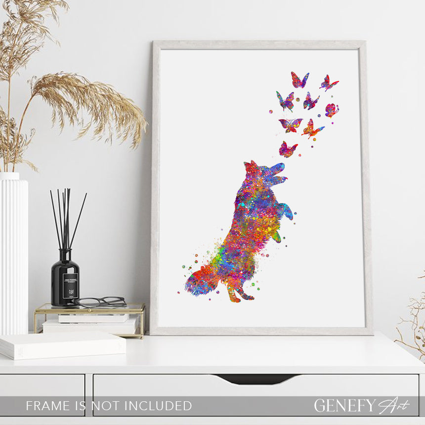 Border collie and butterflies
