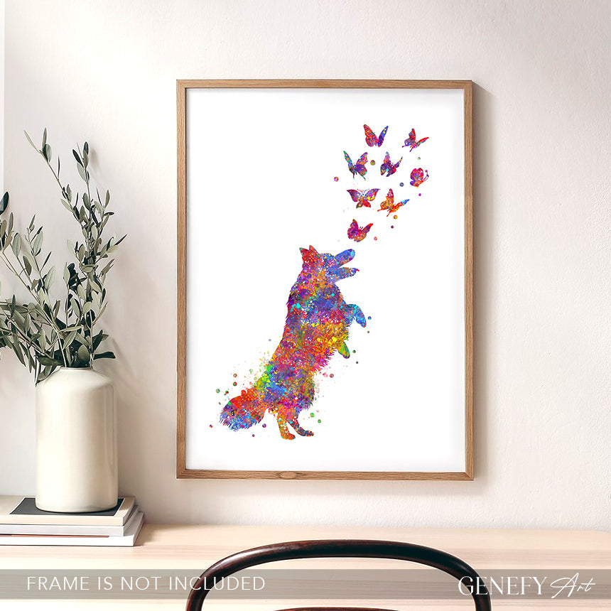 Border collie and butterflies