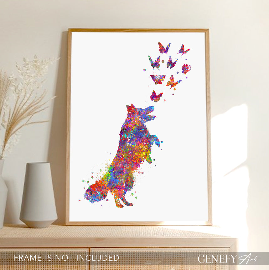 Border collie and butterflies