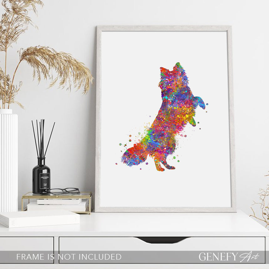 Border collie and butterflies