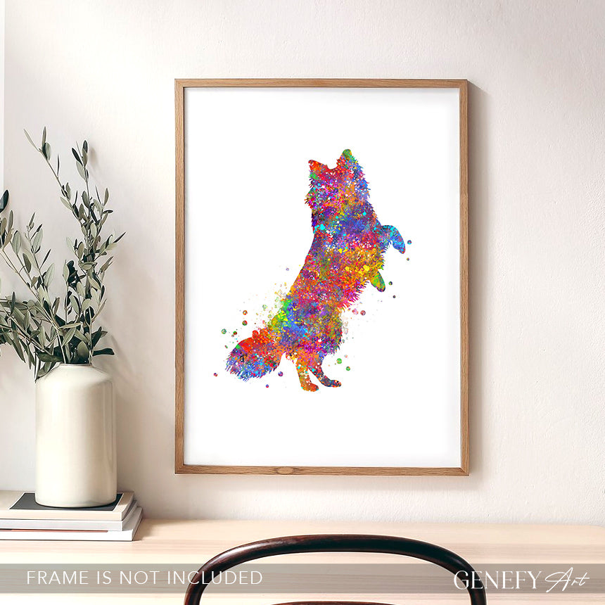 Border collie and butterflies