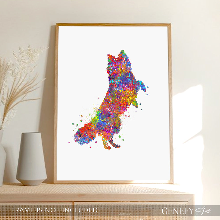 Border collie and butterflies