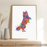 Border collie and butterflies
