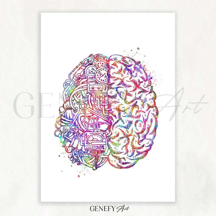 Brain Anatomy Watercolour Art Print - Genefy Art
