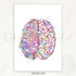 Brain Anatomy Watercolour Art Print - Genefy Art