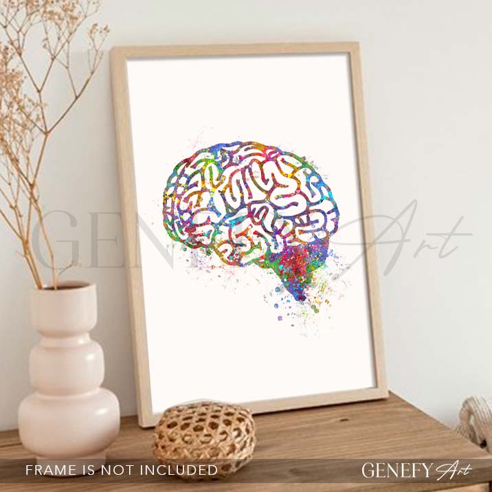 Brain Anatomy Watercolour Art PrintX