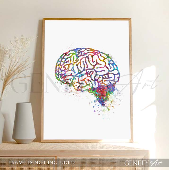 Brain Anatomy Watercolour Art PrintX