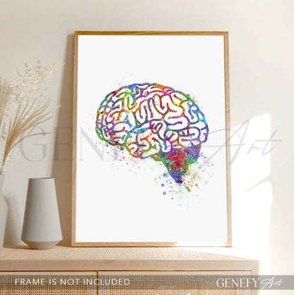 Brain Anatomy Watercolour Art PrintX