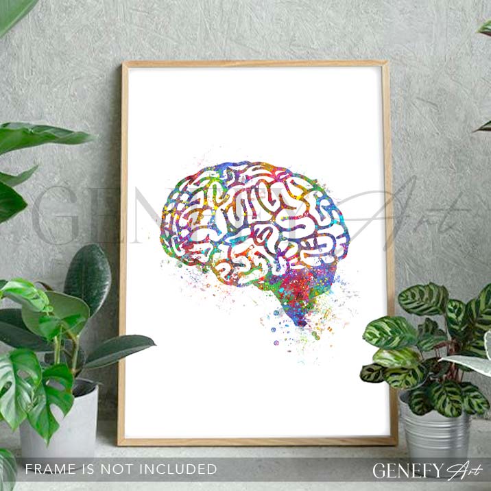 Brain Anatomy Watercolour Art PrintX