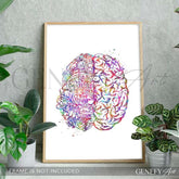 Brain Anatomy Watercolour Art Print - Genefy Art