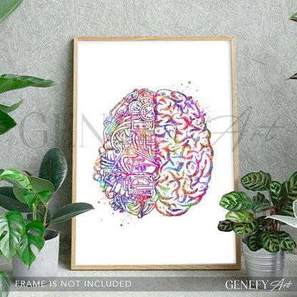 Brain Anatomy Watercolour Art Print - Genefy Art