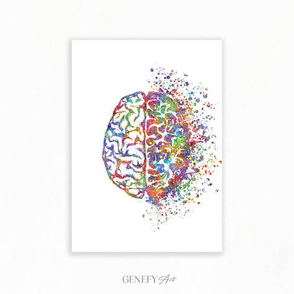 Brain Anatomy Watercolour Art Print - Genefy Art