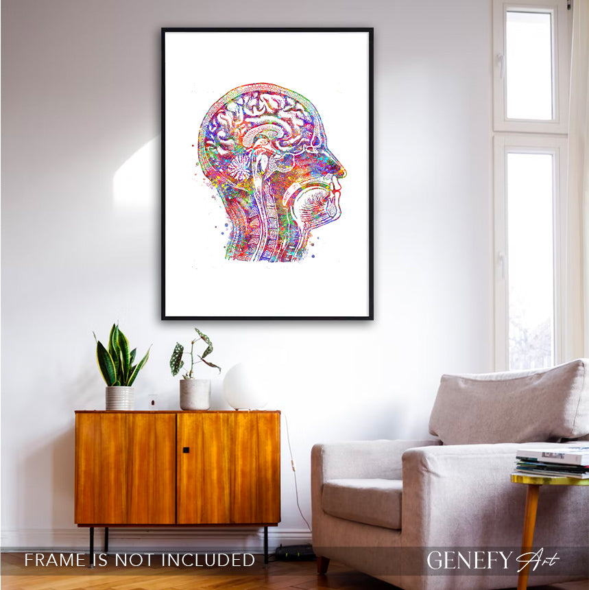 Brain Anatomy Watercolour Art Print