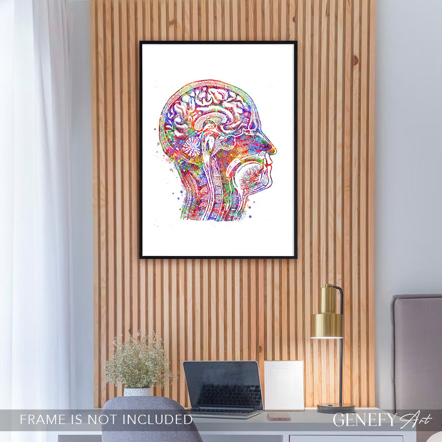 Brain Anatomy Watercolour Art Print