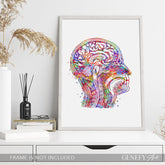 Brain Anatomy Watercolour Art Print