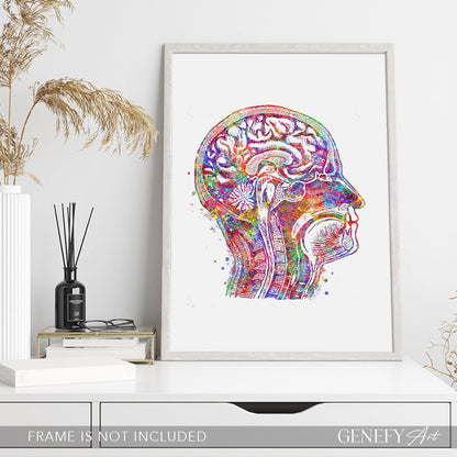 Brain Anatomy Watercolour Art Print